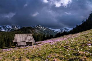 Bhutan Travel Guide: Essential Tips and Information for Visitors