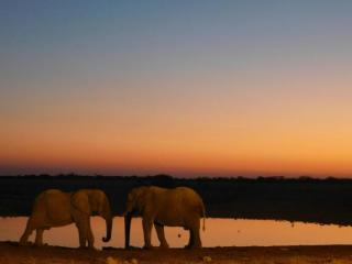 Essence of Namibia travel with Earthy Hues