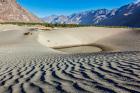 Ladakh Experience