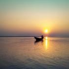 Essence of Assam