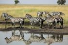 Masai Mara Migration Safari