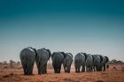 Essence of Namibia