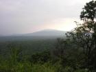 Rwanda Gorilla Trek