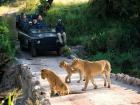 Glimpses of South Africa