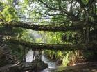 Enchanting Meghalaya