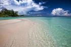 Sand, Surf and Swaying Palms 