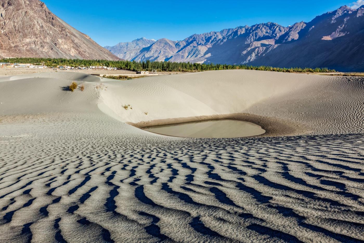 Ladakh Experience