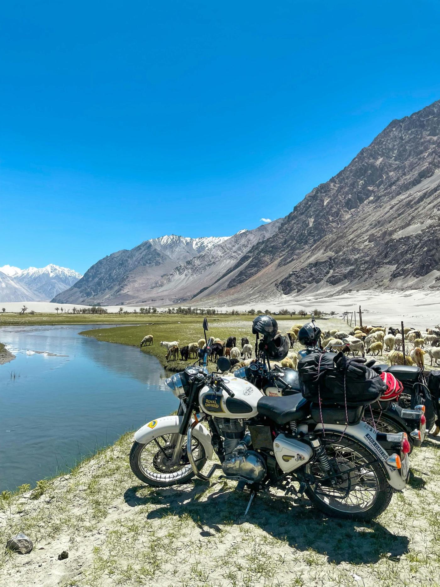 6N-7D Ladakh