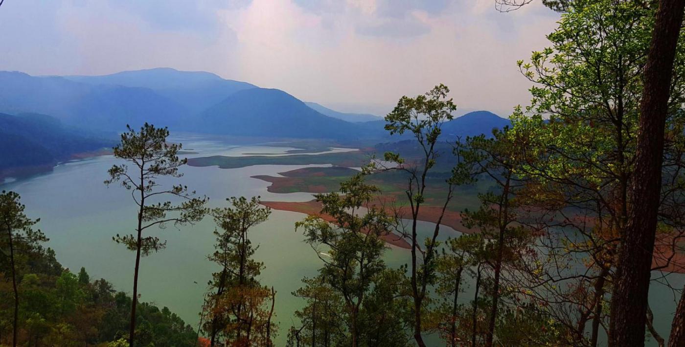 In the Lap of Nature