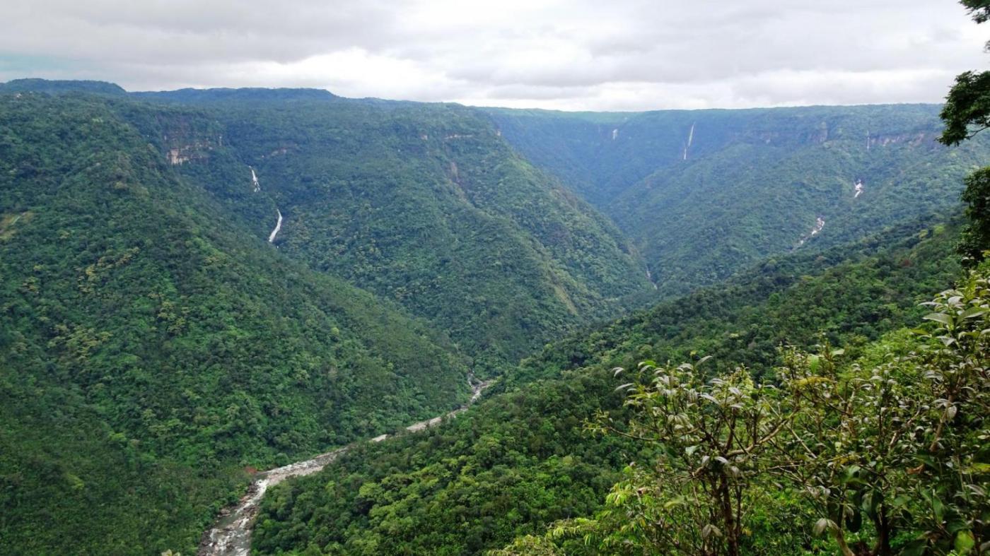 In the Lap of Nature