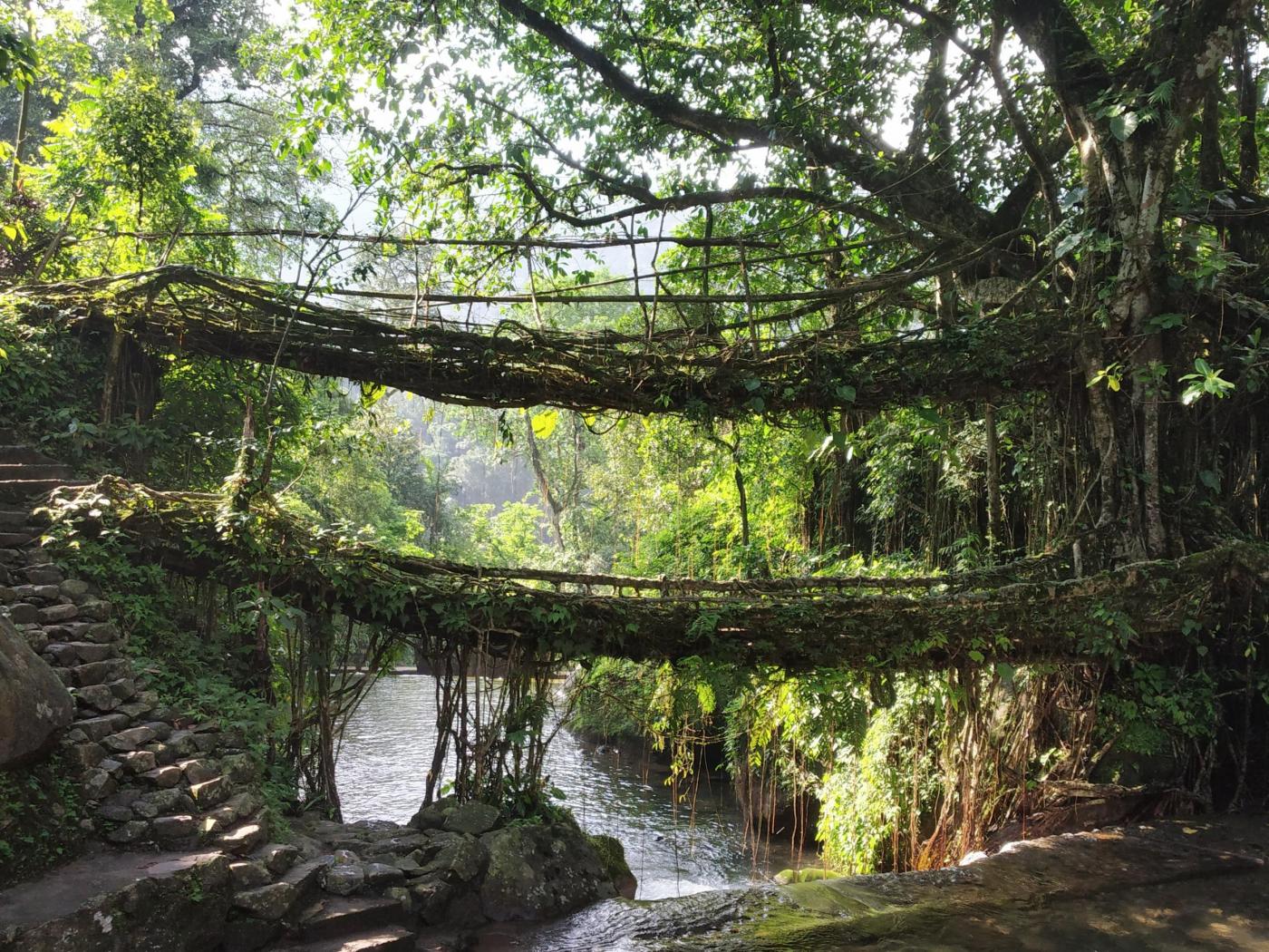 All Women’s trip Meghalaya