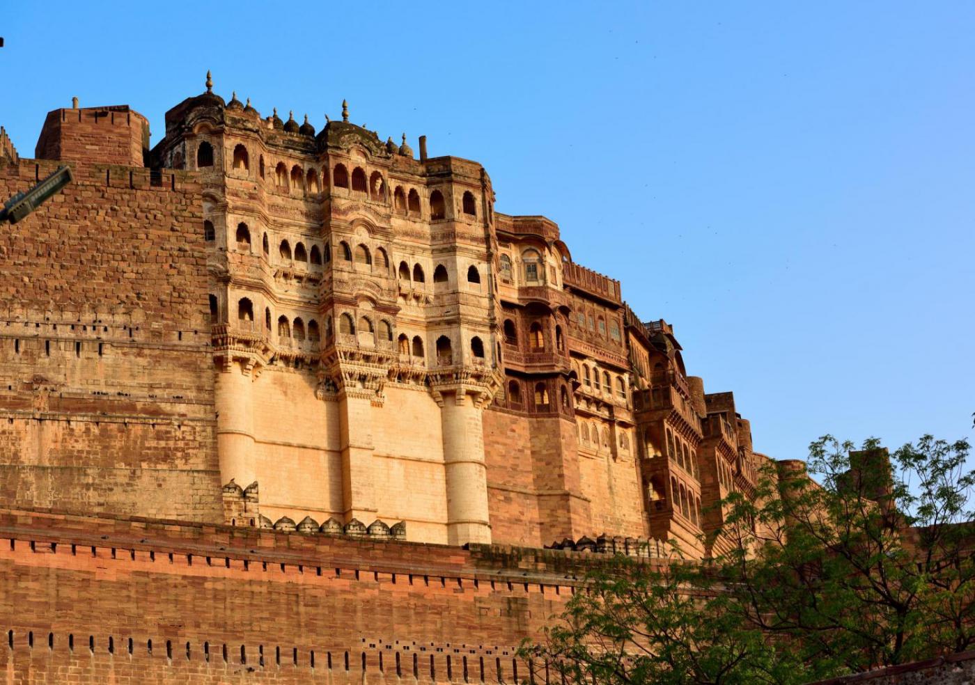 Spectacles of the Thar