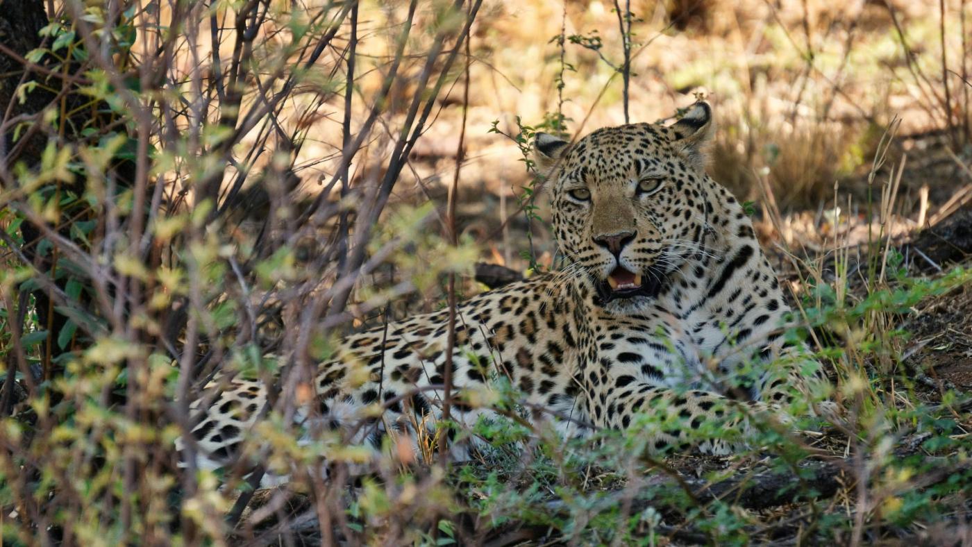 Namibian Adventure Trail