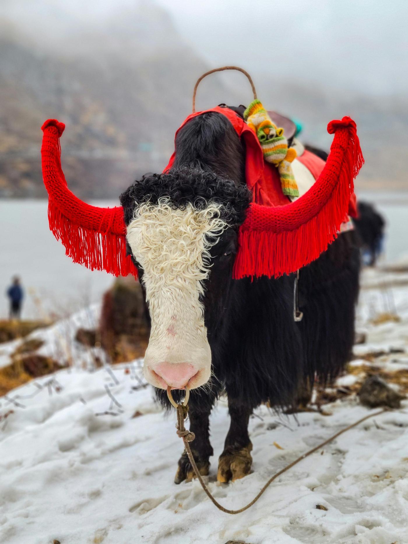MAGICAL SIKKIM