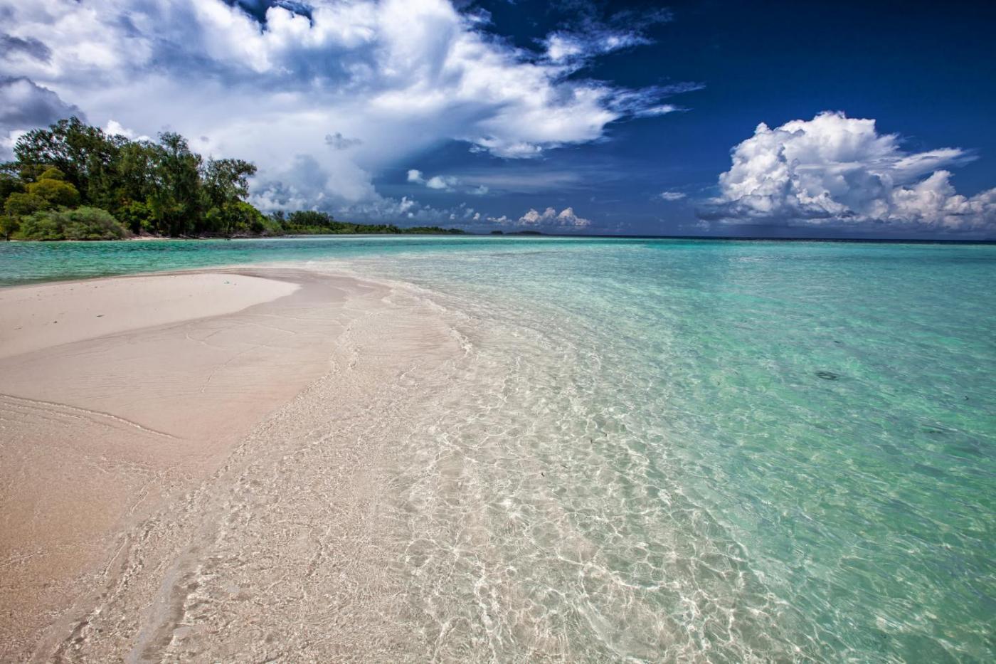 Sand, Surf and Swaying Palms 